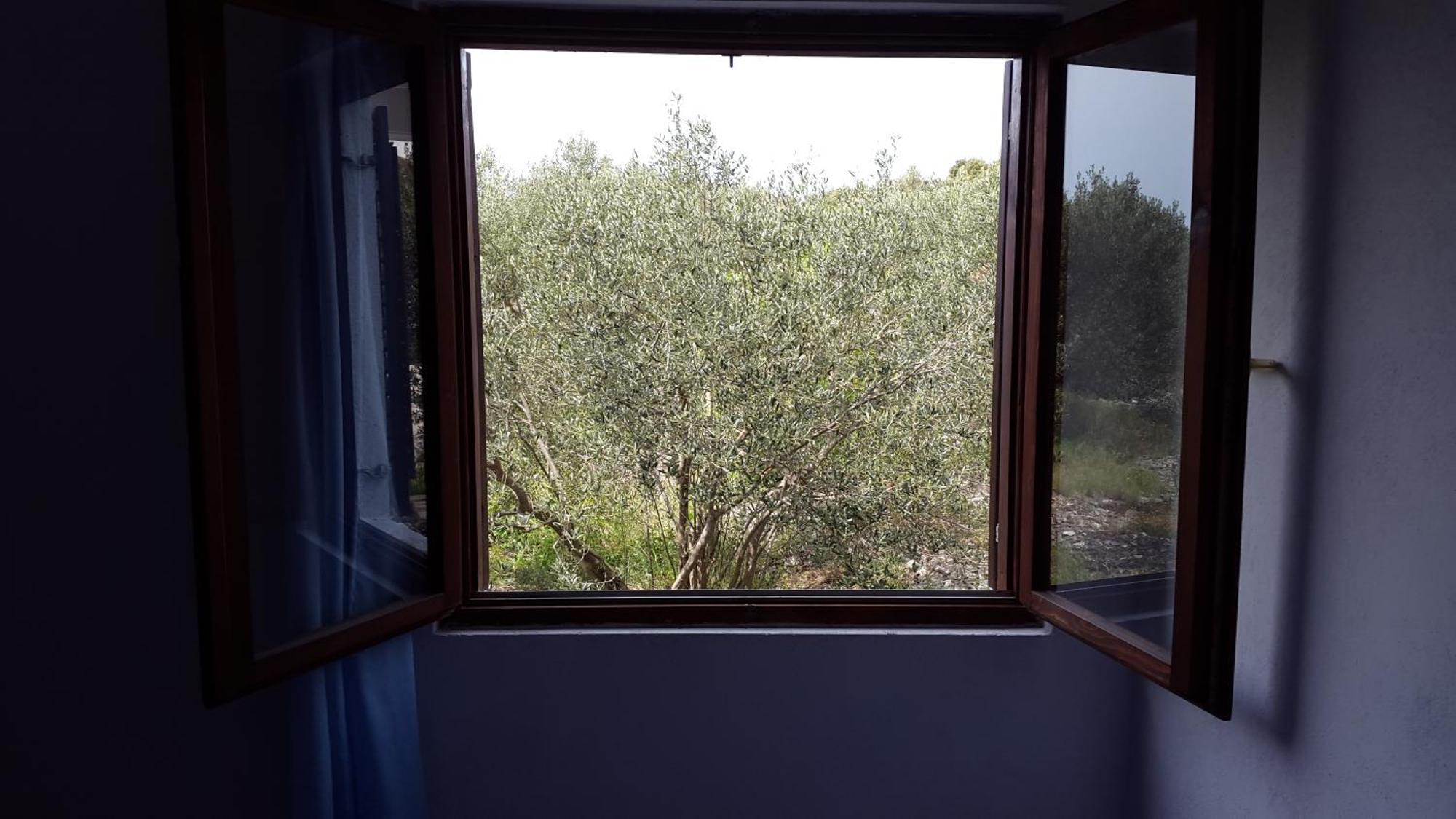 Apartments Vrvilo Rogoznica  Cameră foto